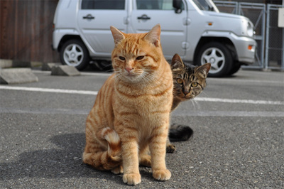 20100214-3.jpg