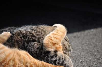 20100221-10.jpg