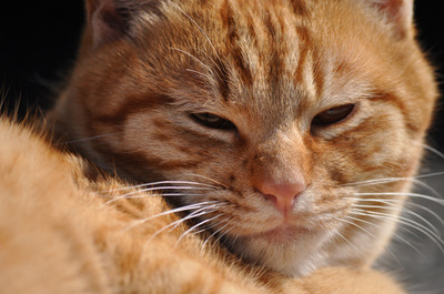 20100221-4.jpg