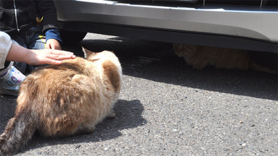 20100418-5.jpg
