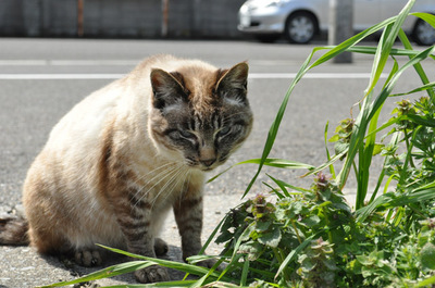 20100418-6.jpg