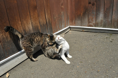 20100502-2.jpg