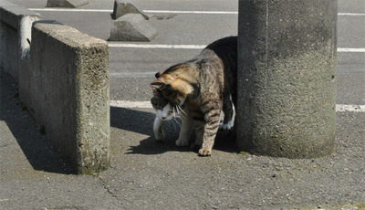 20100502-4.jpg