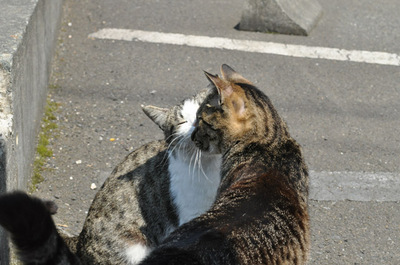 20100502-6.jpg