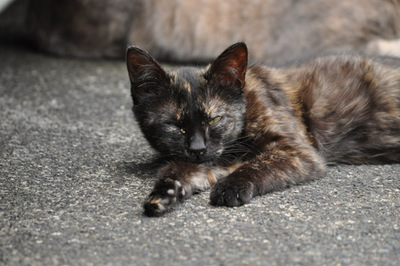 20100508-4.jpg