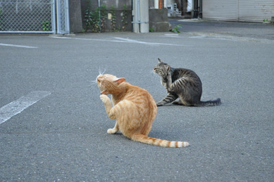 20100605-3.jpg