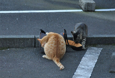 20100605-4.jpg