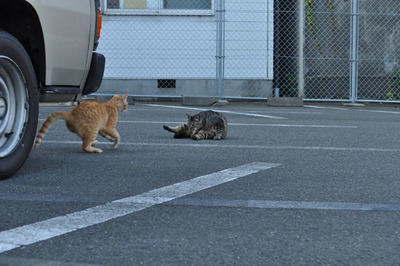 20100605-6.jpg