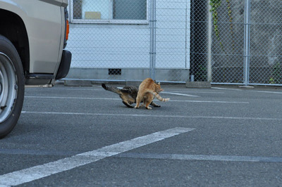 20100605-8.jpg