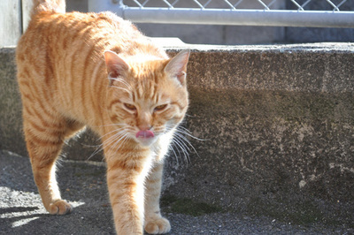 201102-4.jpg