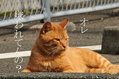 20110524-02.jpg