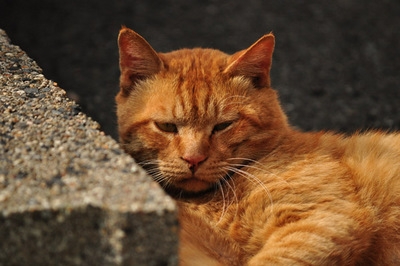 20110524-05.jpg
