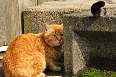20110524-06.jpg