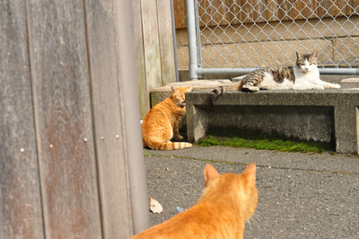 20110524-07.jpg