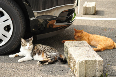20110524-08.jpg