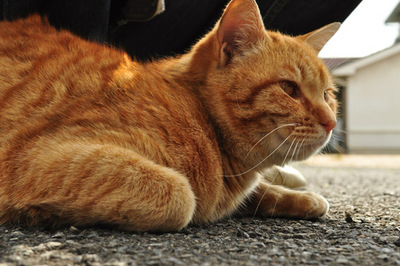 20110524-09.jpg