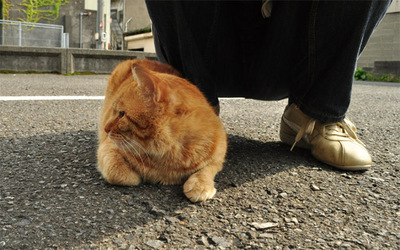 20110524-11.jpg